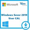 winrmtdsktpsrvcscal-2019-sngl-olp-nl-usrcal-6vc-03748 - ảnh nhỏ  1