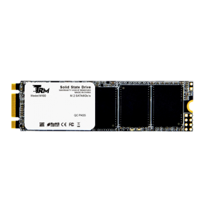 Ổ cứng SSD TRM M100 256GB M.2 SATA3 (Đọc 560MB/s – Ghi 520MB/s)