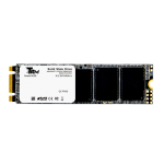 Ổ cứng SSD TRM N100 Pro 256GB M.2 2280 PCIe NVMe (Đọc 2130MB/s – Ghi 1720MB/s)